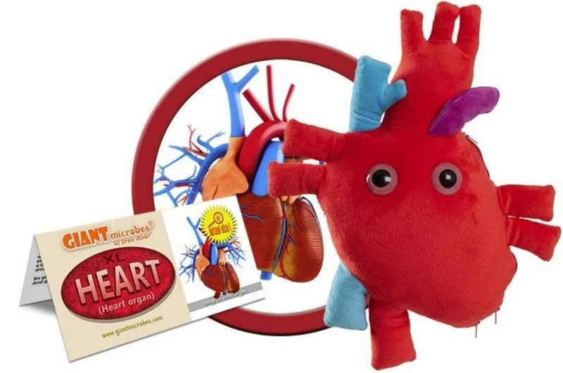 GIANT MICROBES Deluxe 15" Heart Plush, Blood Cells Stuffed Animal, Organ Transplant & Anatomical Heart Gifts, Cardiology Gifts - Image 2